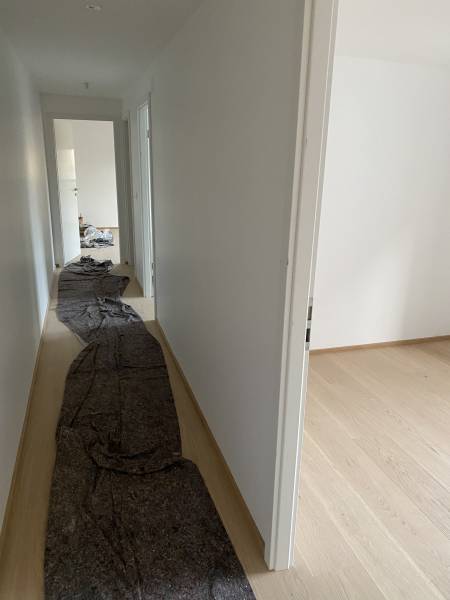 Pose parquet et peinture Strasbourg